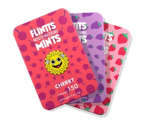 Flintts Mints Travel Coupons